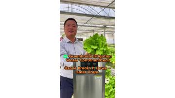 50A Ozone Generator for Greenhouse Irrigation – Chemical-Free Water Treatment