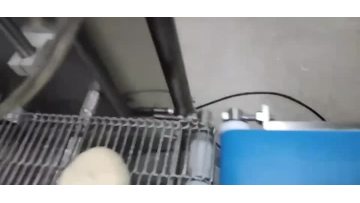 Automatic Water Spraying And Sesame Sprinkling Machine