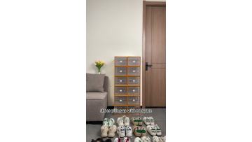 Dustproof simple shoe rack shoes save space