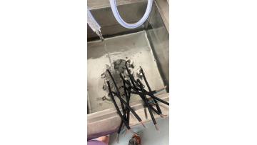 Waterproof Testing