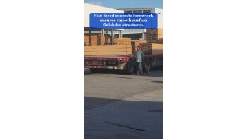 Video 73