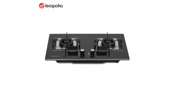 built-in 2 burner gas stove