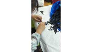 molded rubber parts