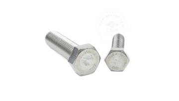 Stainless Steel Hex Head Bolts