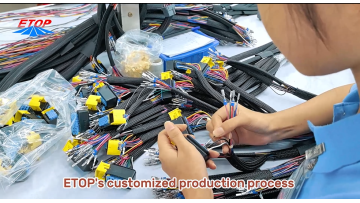 The Essence of Customized Production Processes