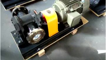 Heat conducting oil thermal insulation asphalt pump high temperature asphalt pump1