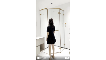 VR-H331 Hinge Door