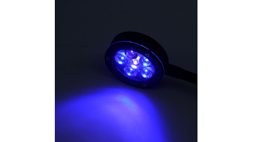 Coral led lamp