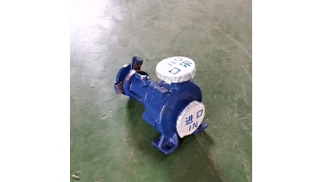 High temperature heat conduction oil pump RY air-cooled heat conduction oil pump1