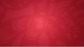 Happy Spring Festival 2025