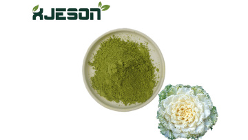 Kale powder