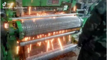 YQ Galvanized Welded Wire Mesh for Agriculture or Bird Cage for Protection Construction1