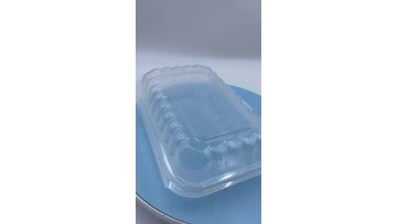 plastic lunch box 1