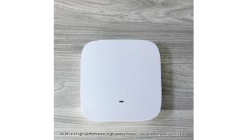 BL90 Product Introduction