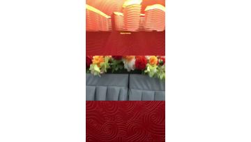 Visible championship quality of PPF/ Automotive Solar Window Film/TPU Color Wrap PPF