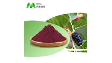 Hot Selling High Quality Pure Mulberry Fruit Powder1