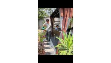 Hardtop Gazebo 14