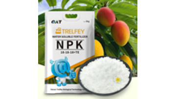 Manufacturers and Suppliers of Bulk Water Soluble 19-19-19+TE NPK Powdered Fertilizer1