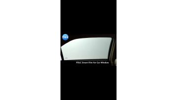 Automotive Privacy Film