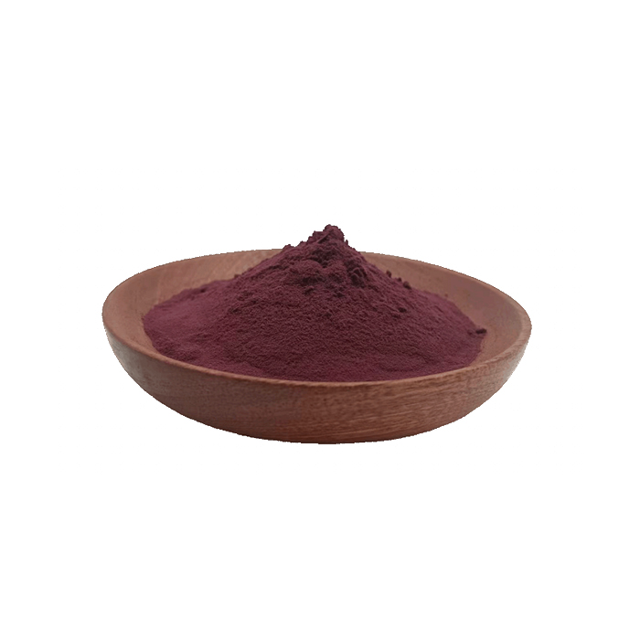 Cranberry Anthocyanin powder