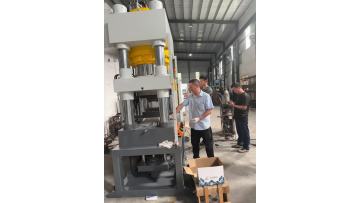 500T hydraulic press test die