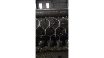 pvc coated/Galvanized Hexagonal Chicken Wire Mesh for Fence and Plastering1