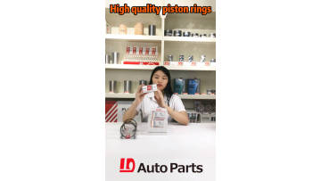 1D Brand Piston ring,Piston ring Kit
