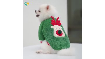 dog costumes