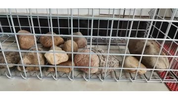 2mx1mx1m Gabion Galvanized welded Mesh Stone Cage  Gabion Mesh For Conservancy Protect1