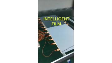 Blinds Smart Film