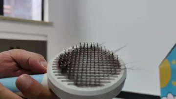 NWW-019 Brush