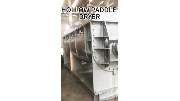 paddle dryer