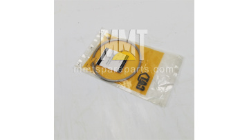 Piston Ring 300-1319