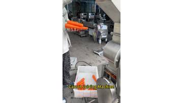 Fruit and Vegetable Juicing Machine Carrot Juicing Machine