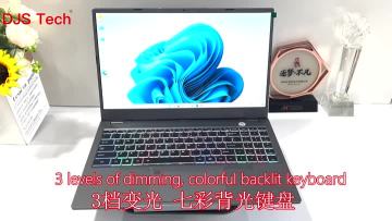 Intel Core i7-1355U, ten cores twelve threads.