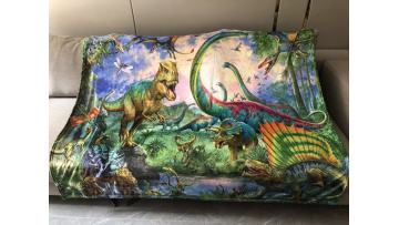 carton kids blanket 