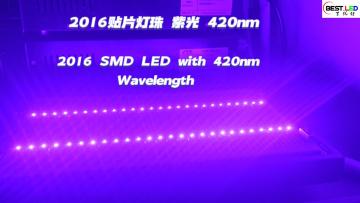 2016 SMD LED with 420nm Wavelength