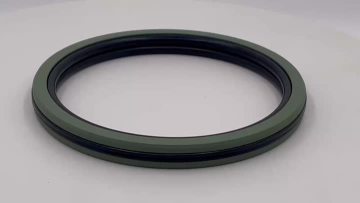 Piston Seals CQ