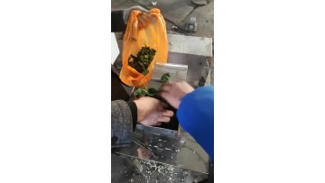 Tea leaf granule coarse crusher dried moringa leaf grinding machine1