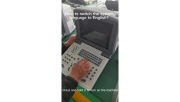 how to switch system language into English