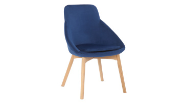 Leisure Chair