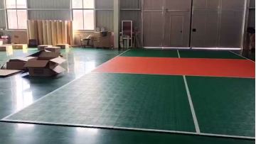 PP pickleball court 