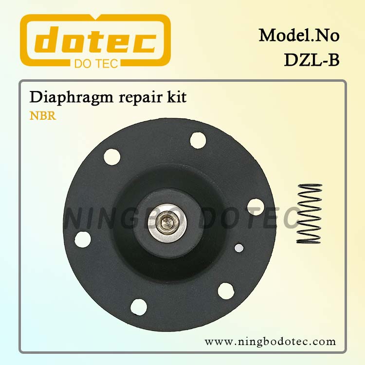 Dzl B