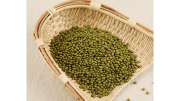 green bean 2