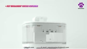 Vet-approved tip: Keep your pet hydrated!