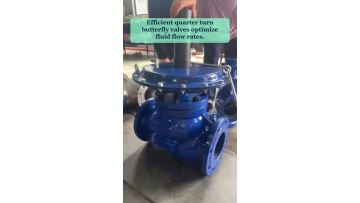 Video 33
