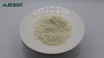 Noni Powder