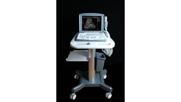  Portable Ultrasound Scanner