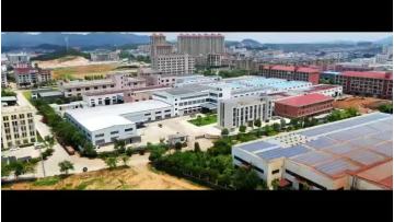 Corporate Video