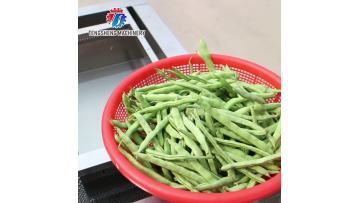 TS-X200D industrial fruit and vegetable washing machine